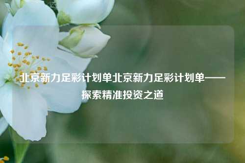 北京新力足彩计划单北京新力足彩计划单——探索精准投资之道