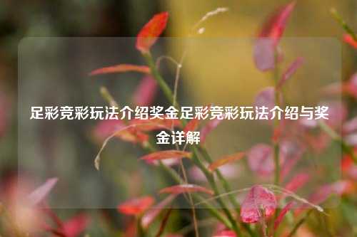 足彩竞彩玩法介绍奖金足彩竞彩玩法介绍与奖金详解