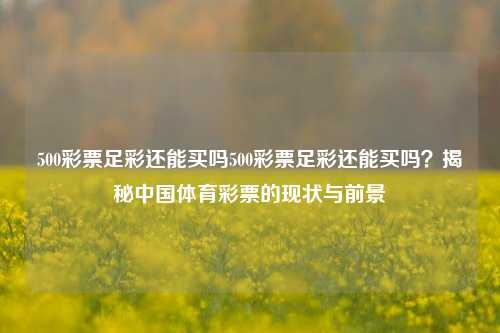 500彩票足彩还能买吗500彩票足彩还能买吗？揭秘中国体育彩票的现状与前景