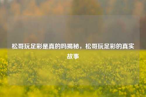 松哥玩足彩是真的吗揭秘，松哥玩足彩的真实故事