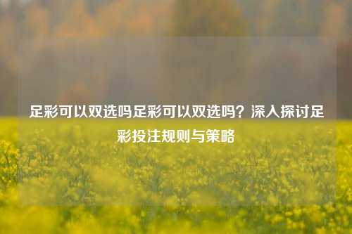 足彩可以双选吗足彩可以双选吗？深入探讨足彩投注规则与策略
