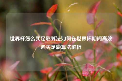 世界杯怎么买足彩算法如何在世界杯期间高效购买足彩算法解析