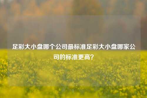 足彩大小盘哪个公司最标准足彩大小盘哪家公司的标准更高？
