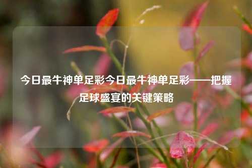 今日最牛神单足彩今日最牛神单足彩——把握足球盛宴的关键策略
