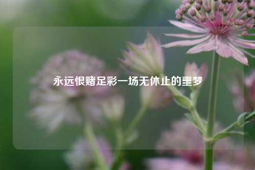 永远恨赌足彩一场无休止的噩梦