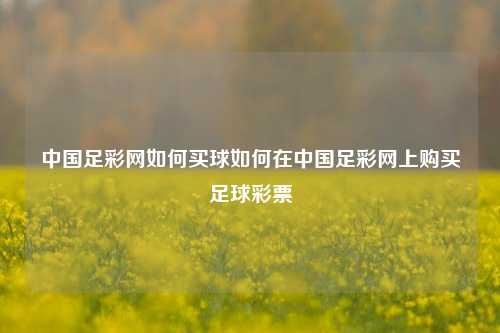 中国足彩网如何买球如何在中国足彩网上购买足球彩票