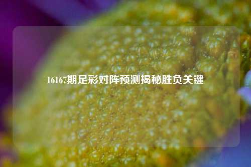 16167期足彩对阵预测揭秘胜负关键