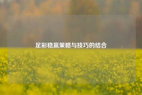 足彩稳赢策略与技巧的结合