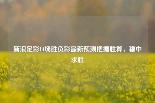 新浪足彩14场胜负彩最新预测把握胜算，稳中求胜
