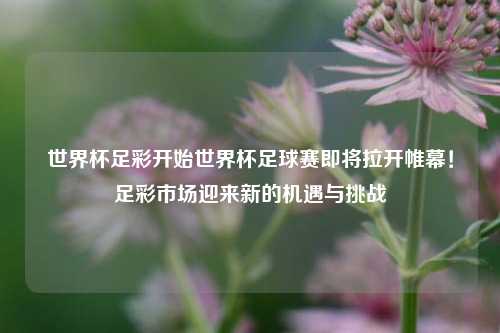 世界杯足彩开始世界杯足球赛即将拉开帷幕！足彩市场迎来新的机遇与挑战