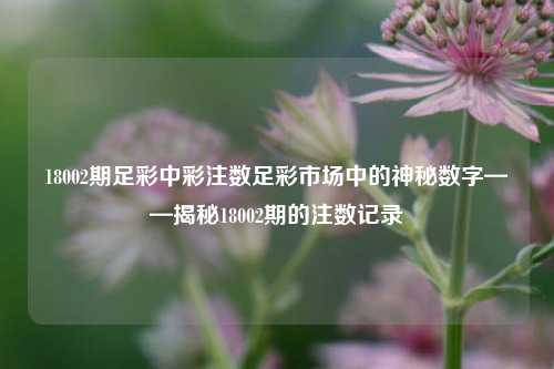 18002期足彩中彩注数足彩市场中的神秘数字——揭秘18002期的注数记录