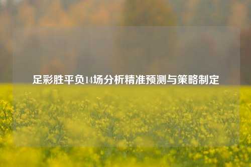 足彩胜平负14场分析精准预测与策略制定