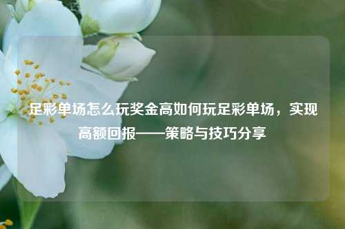 足彩单场怎么玩奖金高如何玩足彩单场，实现高额回报——策略与技巧分享
